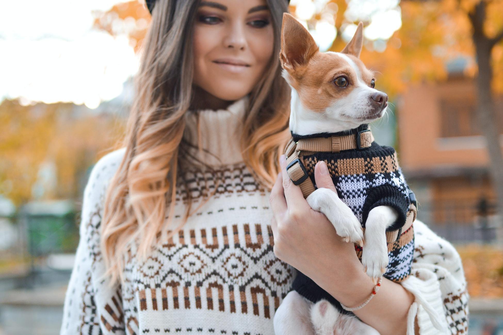 Luxury pet sweater, Dog autumn sweater, Dog winter sweater, Knit dog  sweater, Warm dog sweater, Stylish dog clothes, Dog clothes girl